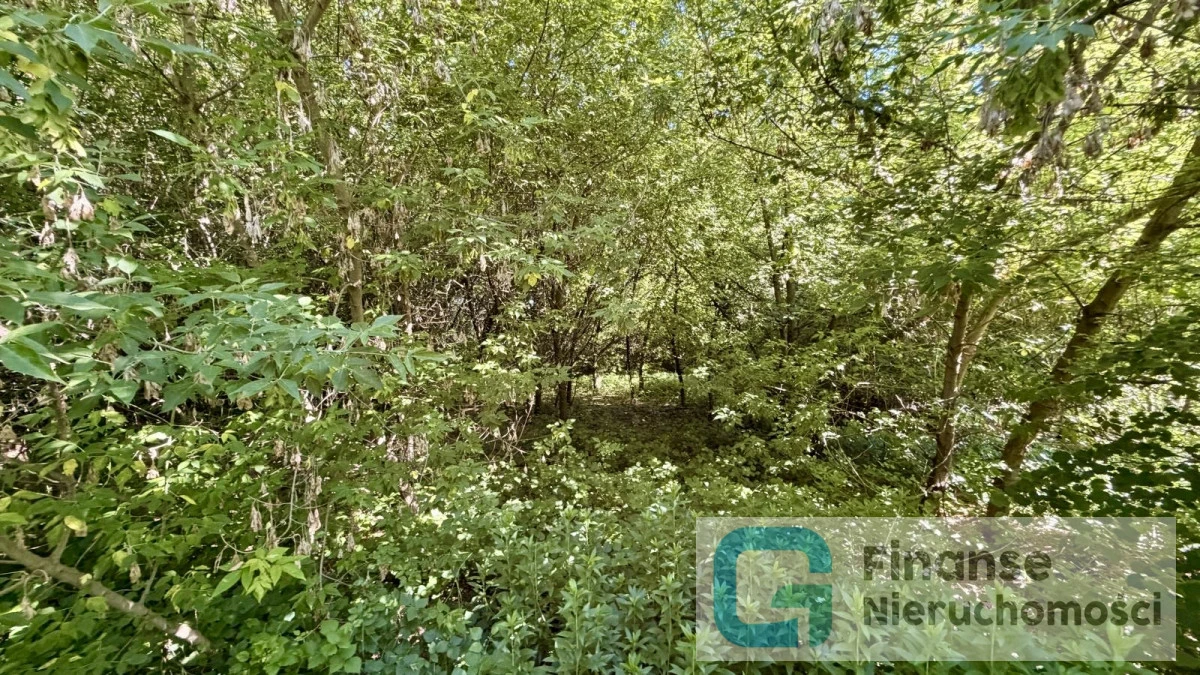 🌿 Działka 2500 m² | Zabudowa zagrodowa i mieszkaniowa jednorodzinna | Pobiedna, gm. Nowe Miasto nad Pilicą | 80 000 zł