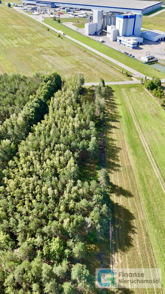 🏭 Działka inwestycyjna 2,824 ha | Podkonice Duże | magazyny, składy i usługi | blisko S8