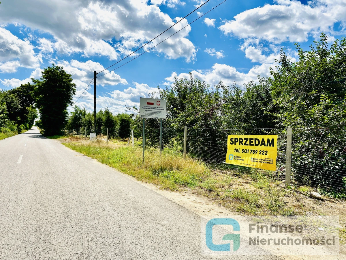 🌳 Działka rolna z możliwością zabudowy | 2,51 ha | Bieliny | 4 km od Nowego Miasta nad Pilicą | MPZP