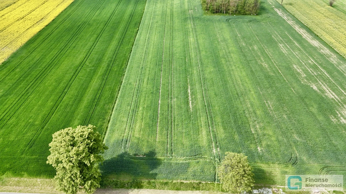 🏡 DZIAŁKI BUDOWLANE NA SPRZEDAŻ | LUTKÓWKA | GM. RAWA MAZOWIECKA | 2 × 2042,9 m² | MPZP 1MN-U