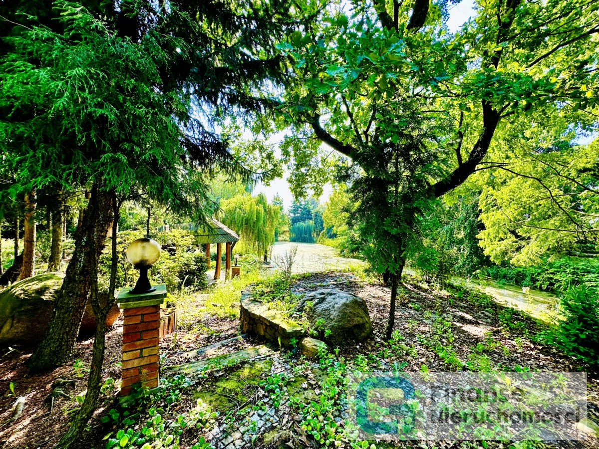 🌿 Wyjątkowy teren inwestycyjny przy zalewie i rzece Rawka | 4332 m² | Rawa Mazowiecka | MPZP